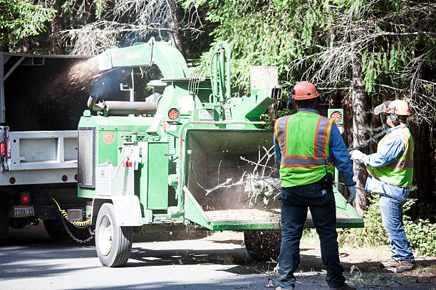 Best Seasonal Cleanup (Spring/Fall)  in Wrightsville Beach, NC